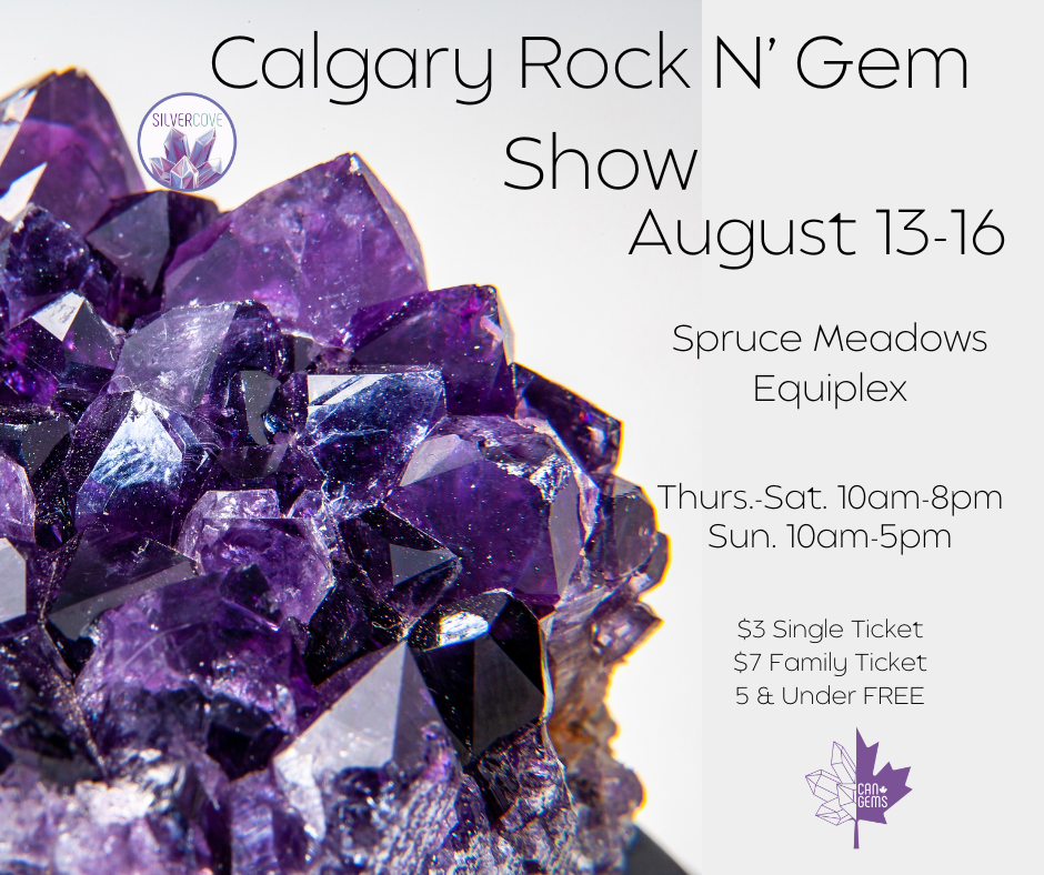 Calgary Rock N' Gem Show Family Pass