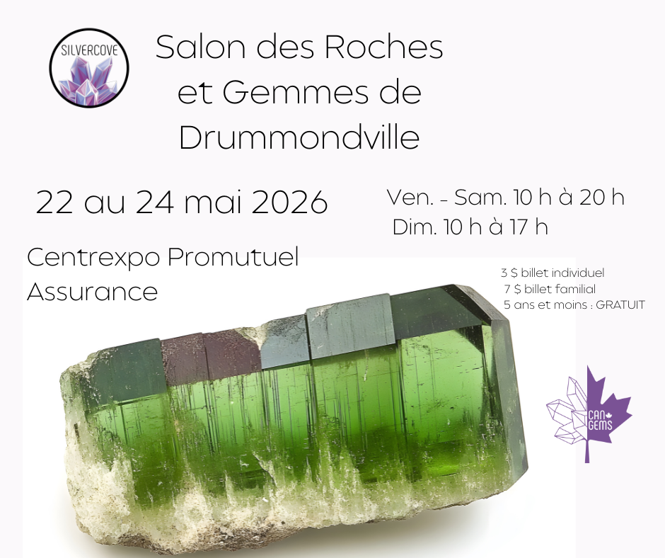 Billet individuel pour le Drummondville Rock N' Gem Show