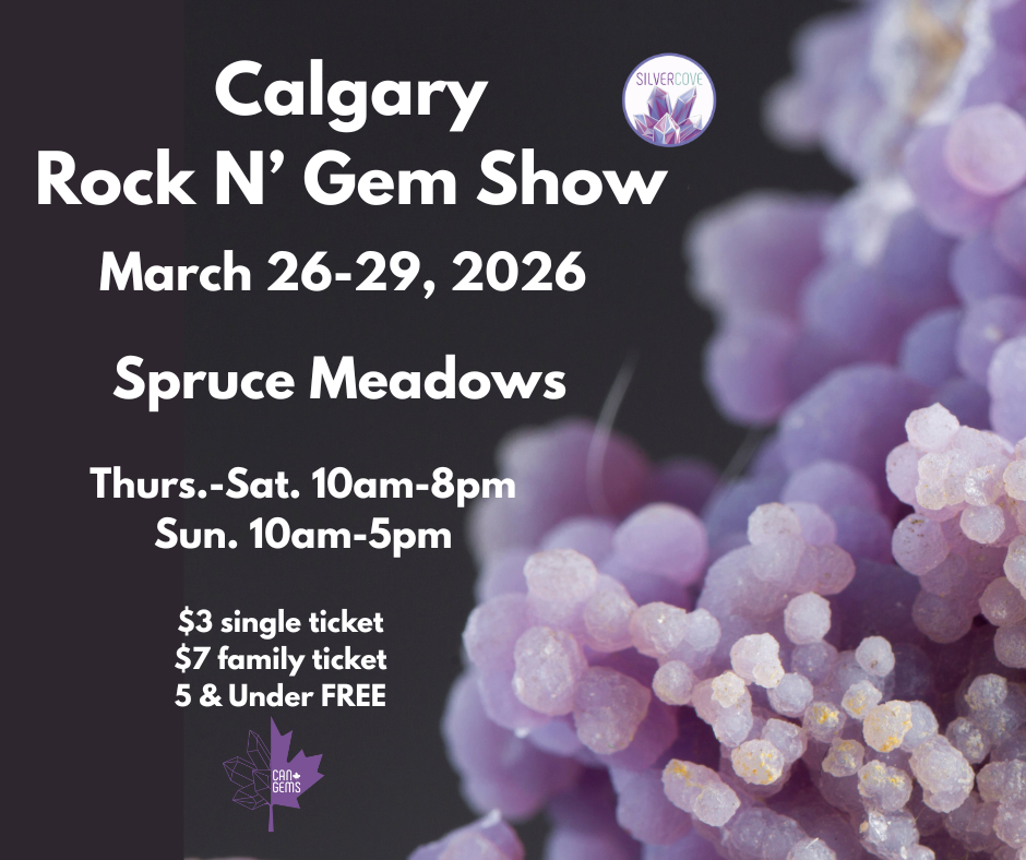 Calgary Rock N' Gem Show Single Ticket