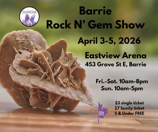 Barrie Rock N' Gem Show Family Pass