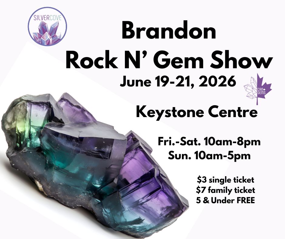 Brandon Rock N' Gem Show Family Pass
