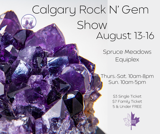 Calgary Rock N' Gem Show Family Pass