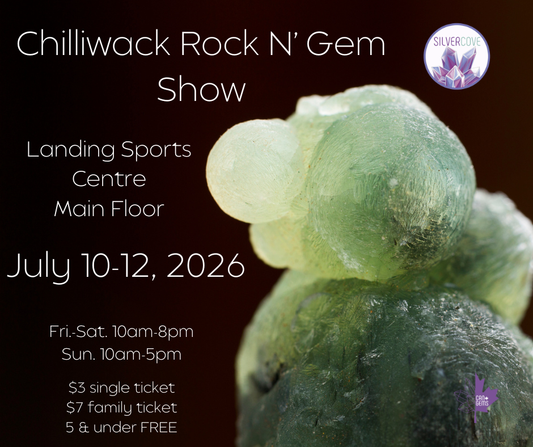 Chilliwack Rock N' Gem Show Family Pass