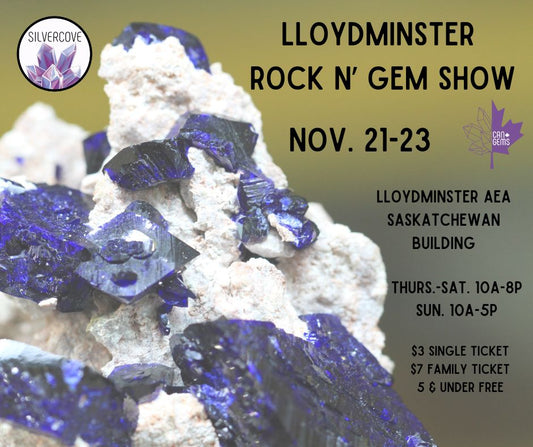 Lloydminster Rock N' Gem Show Family Pass