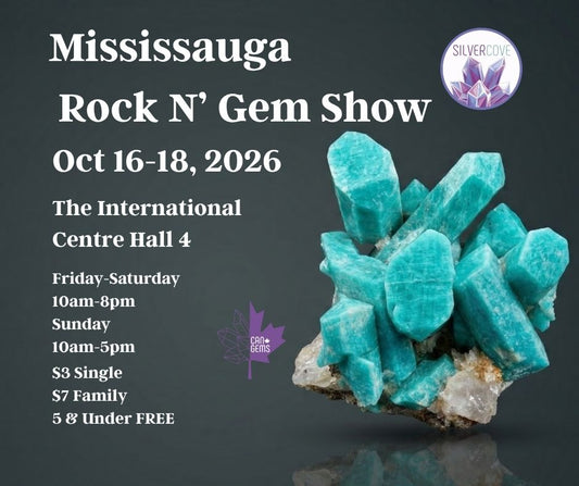 Mississauga Rock N' Gem Show Family Pass
