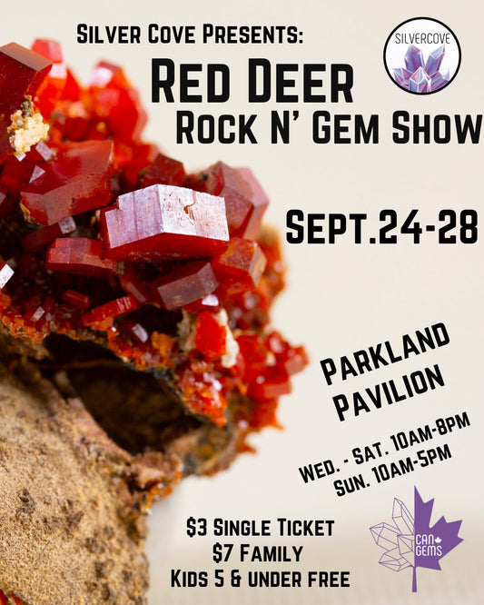 Red Deer Rock N' Gem Show Family Pass